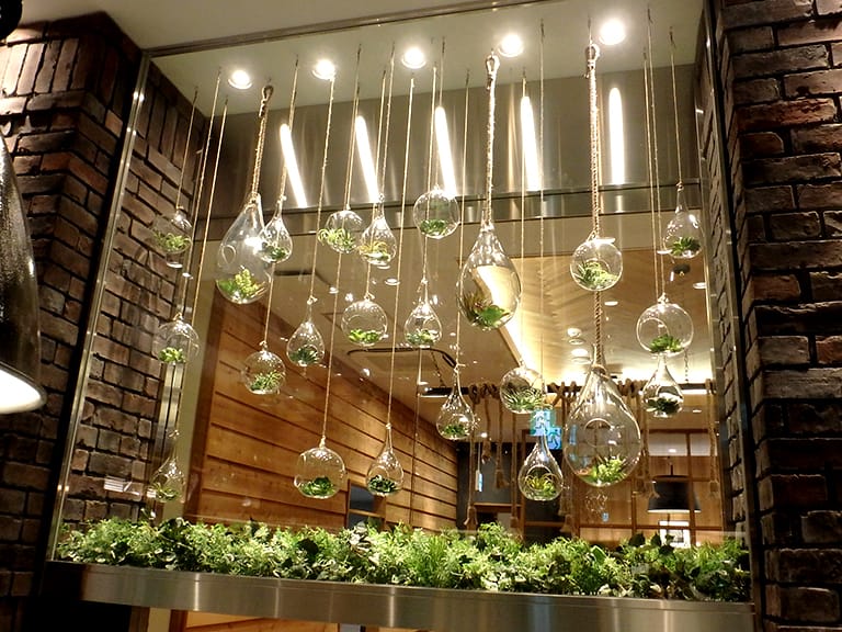 写真：カフェ店内の植栽