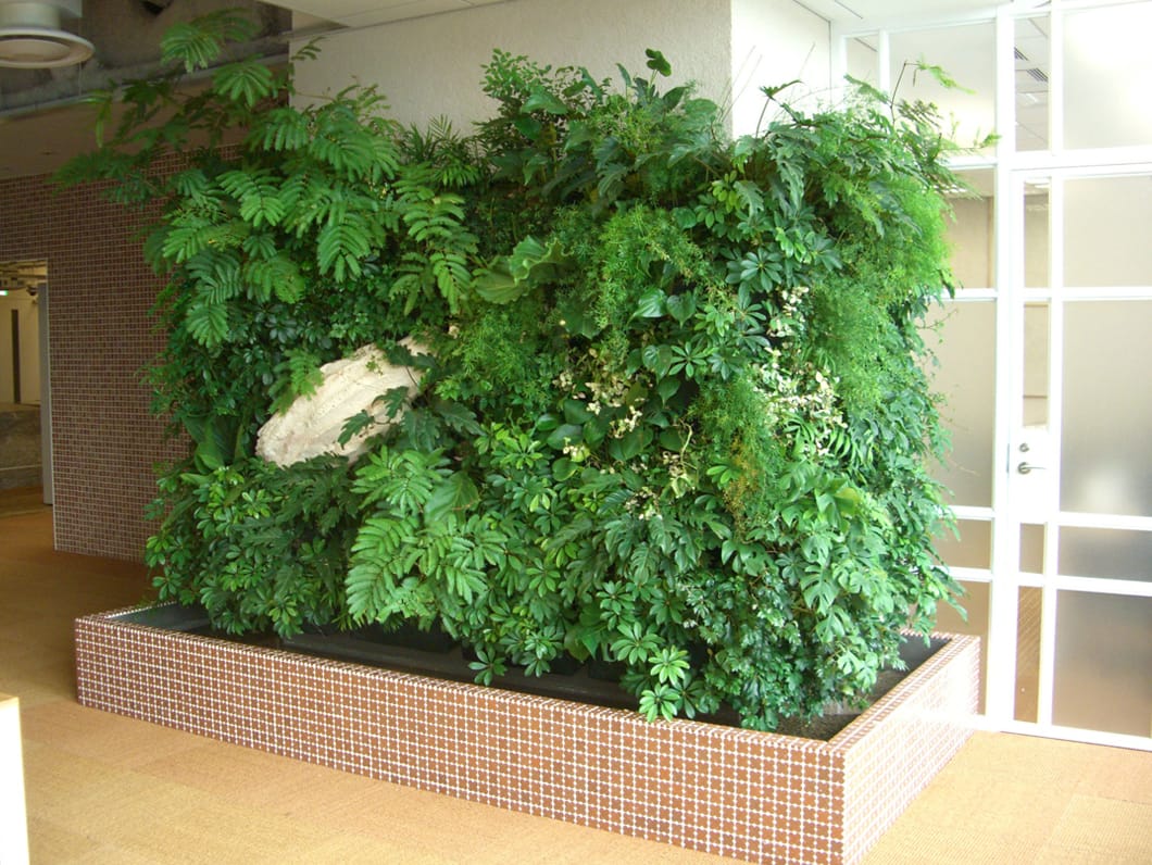 壁面緑化（特殊緑化） | 秋田植物園 - インテリアグリーンショップ
